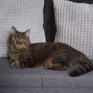 Meet your Posher, Max